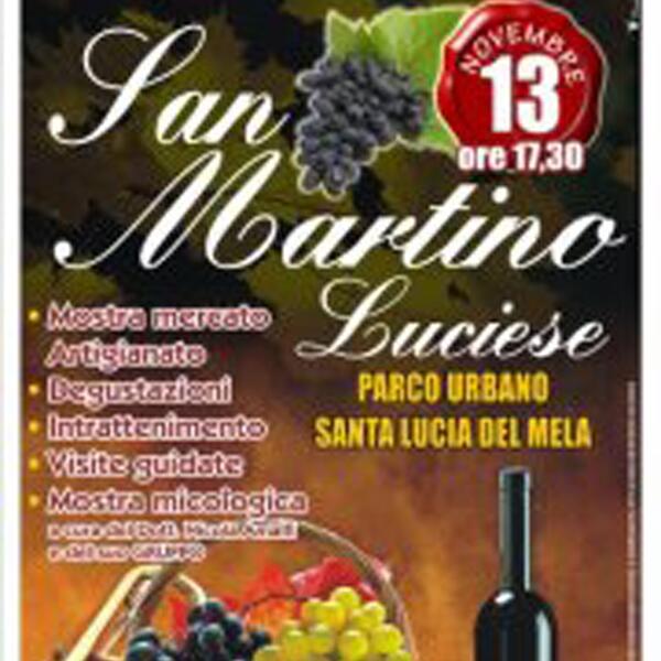 2011.11.13 S. Martino Luciese